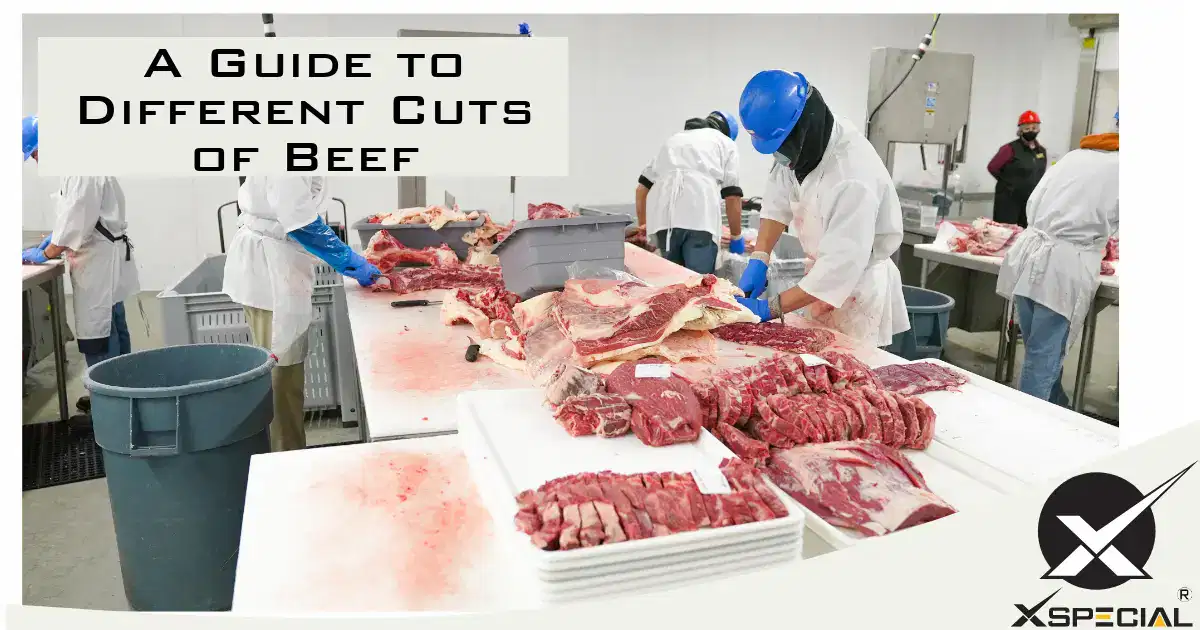 A Guide to Different Cuts of Beef