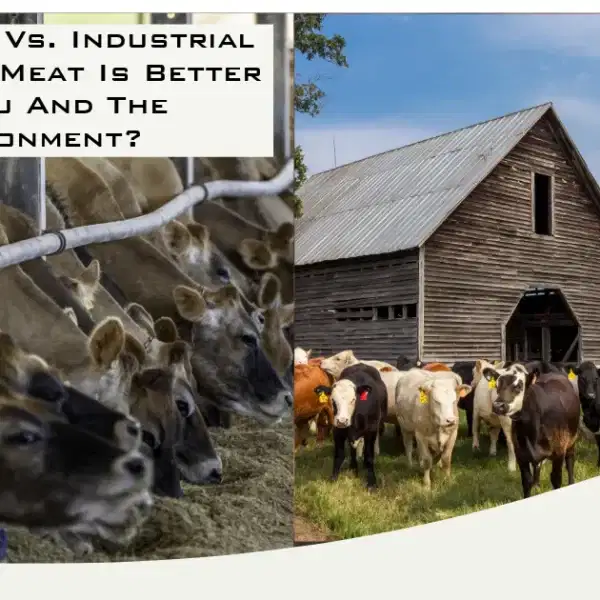Farm-raised Vs. Industrial Beef Which Meat Is Better For You And The Environment