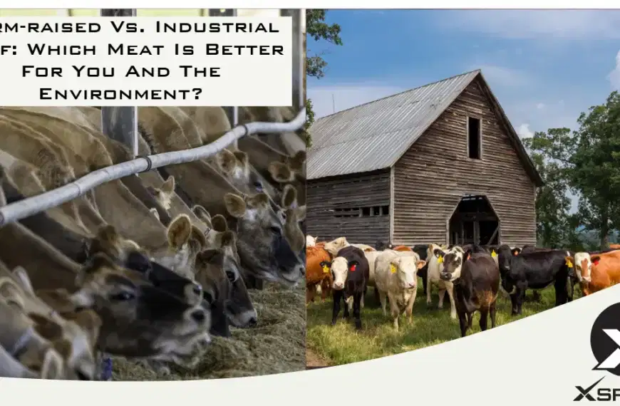 Farm-raised Vs. Industrial Beef Which Meat Is Better For You And The Environment