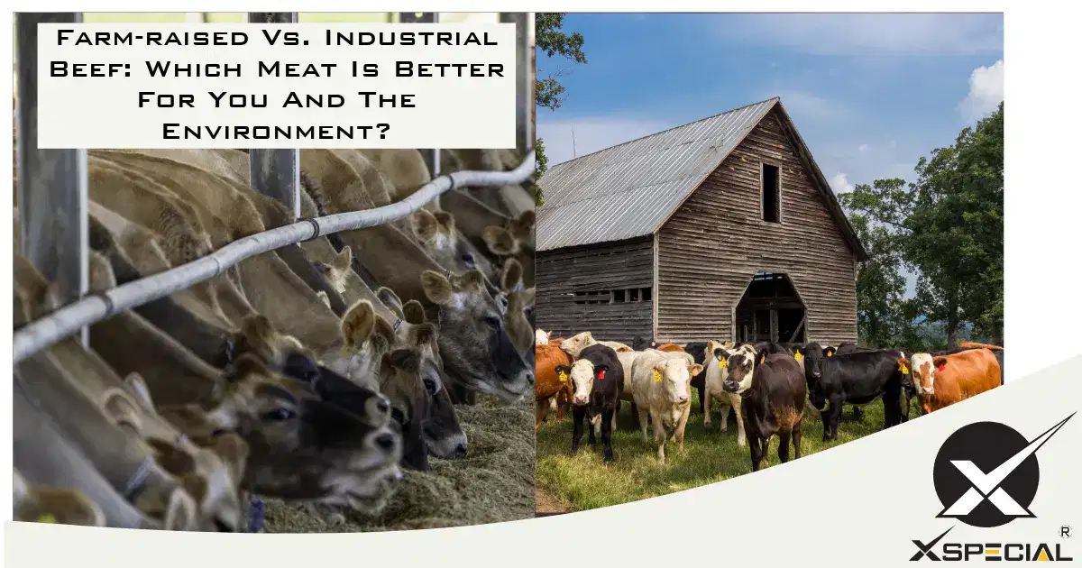 Farm-raised Vs. Industrial Beef Which Meat Is Better For You And The Environment