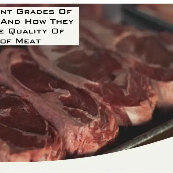 The Different Grades Of USDA Beef And How They Affect The Quality Of Cuts of Meat