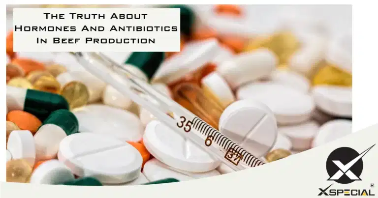 The Truth About Hormones And Antibiotics In Beef Production