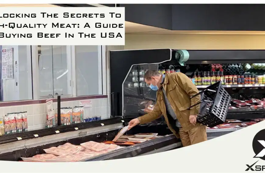 XSpecial - Unlocking The Secrets To High-Quality Meat A Guide To Buying Beef In The USA