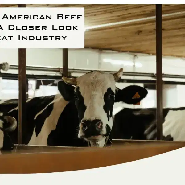 What Makes American Beef Different: A Closer Look At The Meat Industry