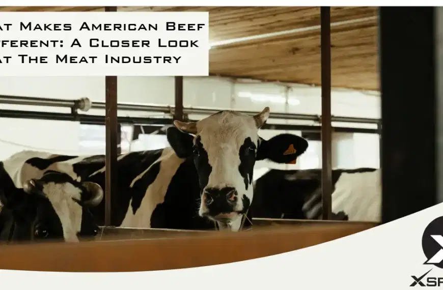 What Makes American Beef Different: A Closer Look At The Meat Industry