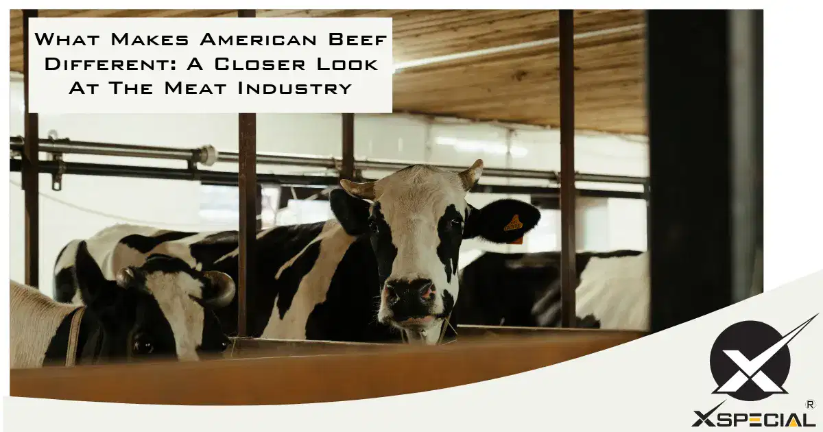 What Makes American Beef Different: A Closer Look At The Meat Industry