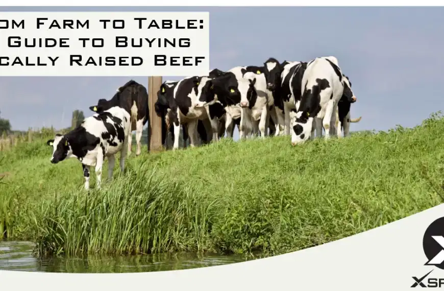 From Farm to Table: A Guide to Buying Locally Raised Beef