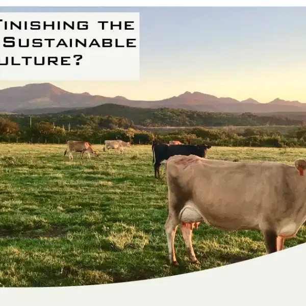 Is grass polishing the future of sustainable agriculture?