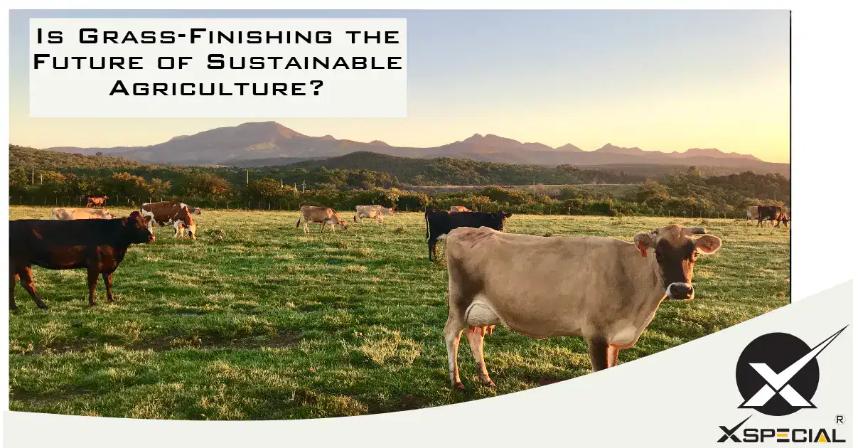 Is grass polishing the future of sustainable agriculture?