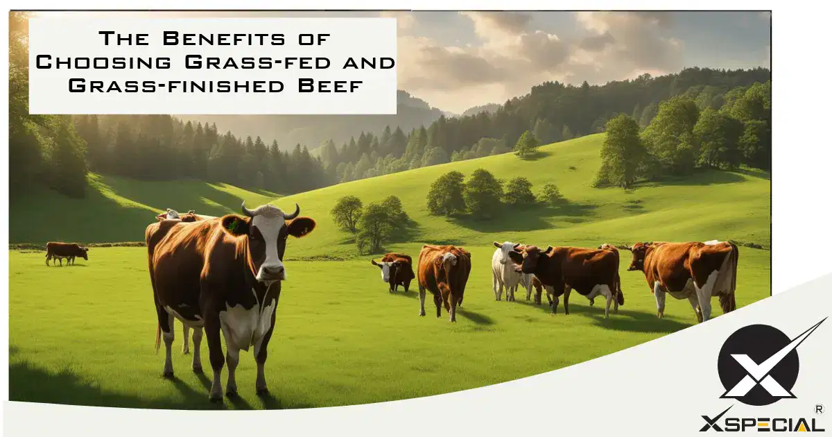 The Benefits of Choosing Grass-fed and Grass-finished Beef