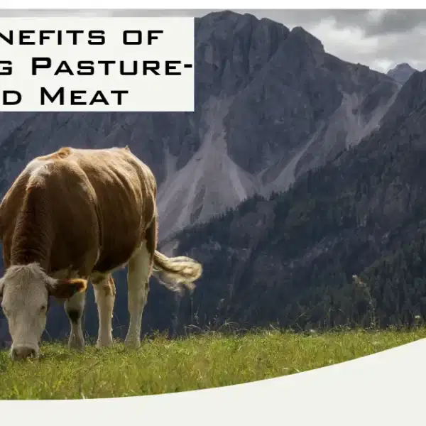 Advantages of opting for pasture-raised meat.
