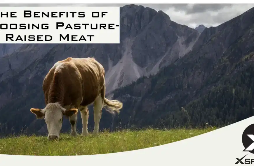 Advantages of opting for pasture-raised meat.