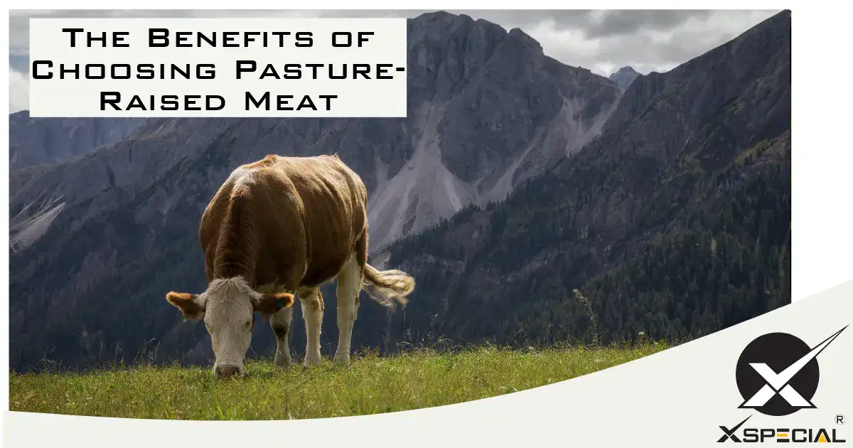 Advantages of opting for pasture-raised meat.