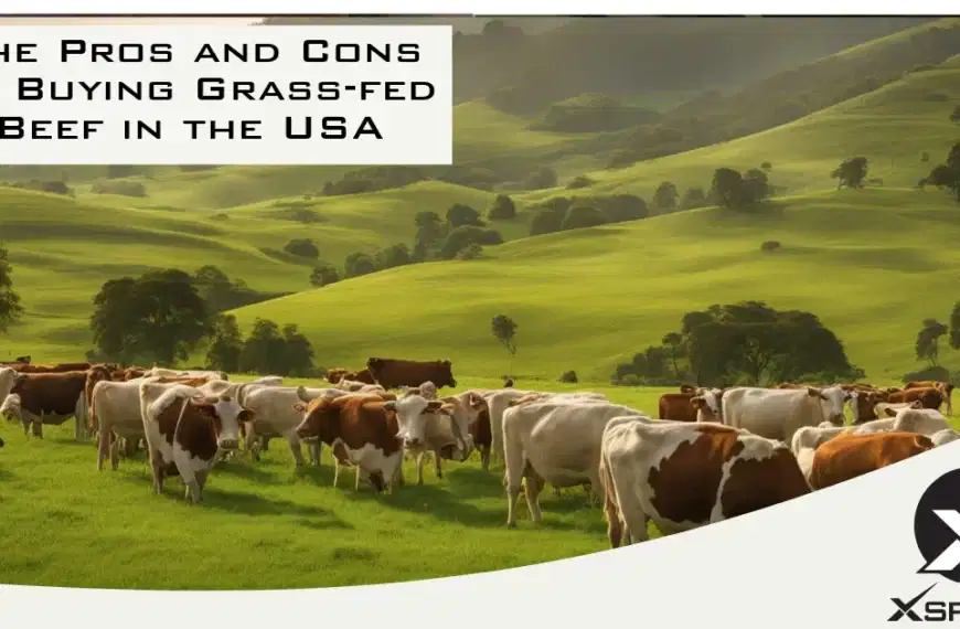 The Pros and Cons of Buying Grass-fed Beef in the USA