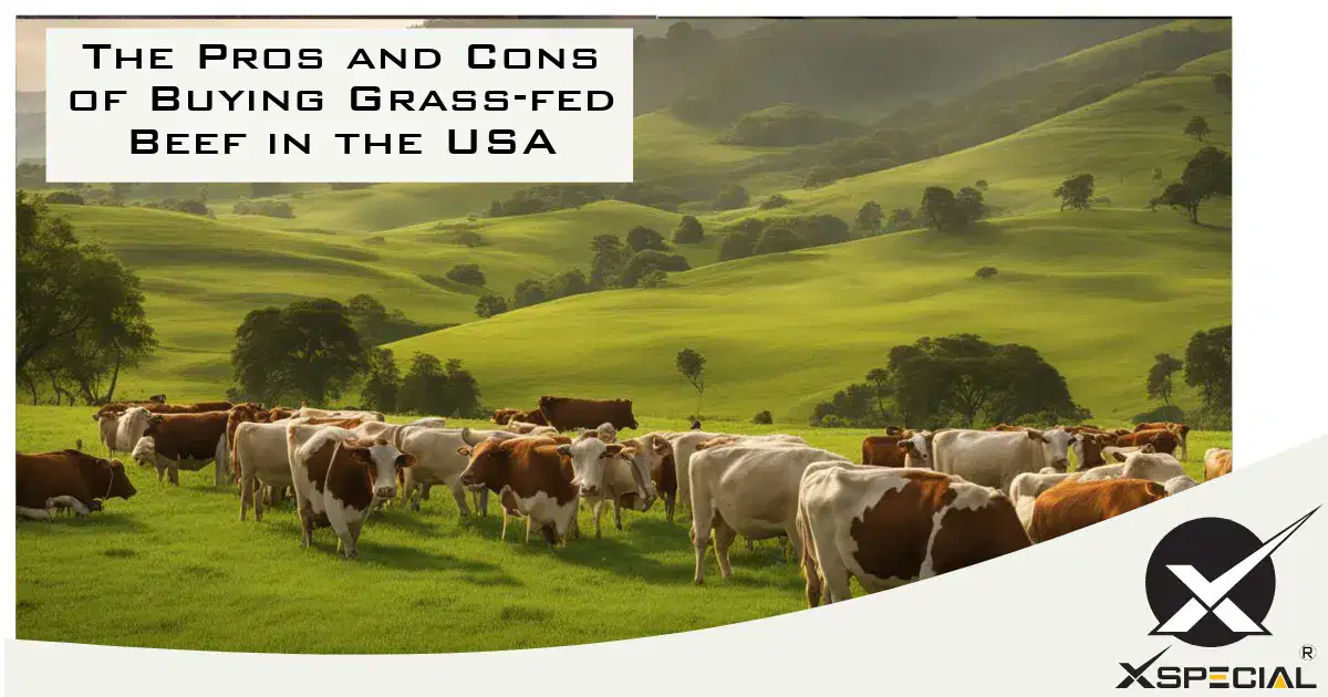 The Pros and Cons of Buying Grass-fed Beef in the USA