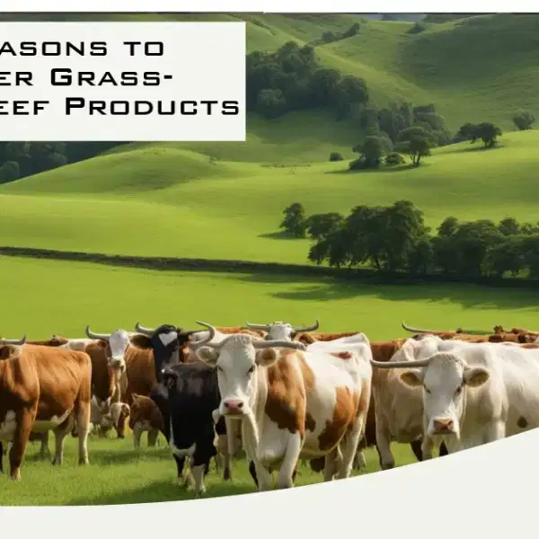 Top Reasons to Consider Grass-Finished Beef Products