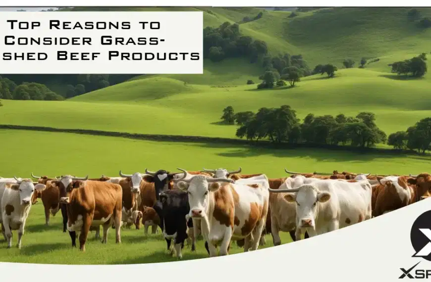 Top Reasons to Consider Grass-Finished Beef Products