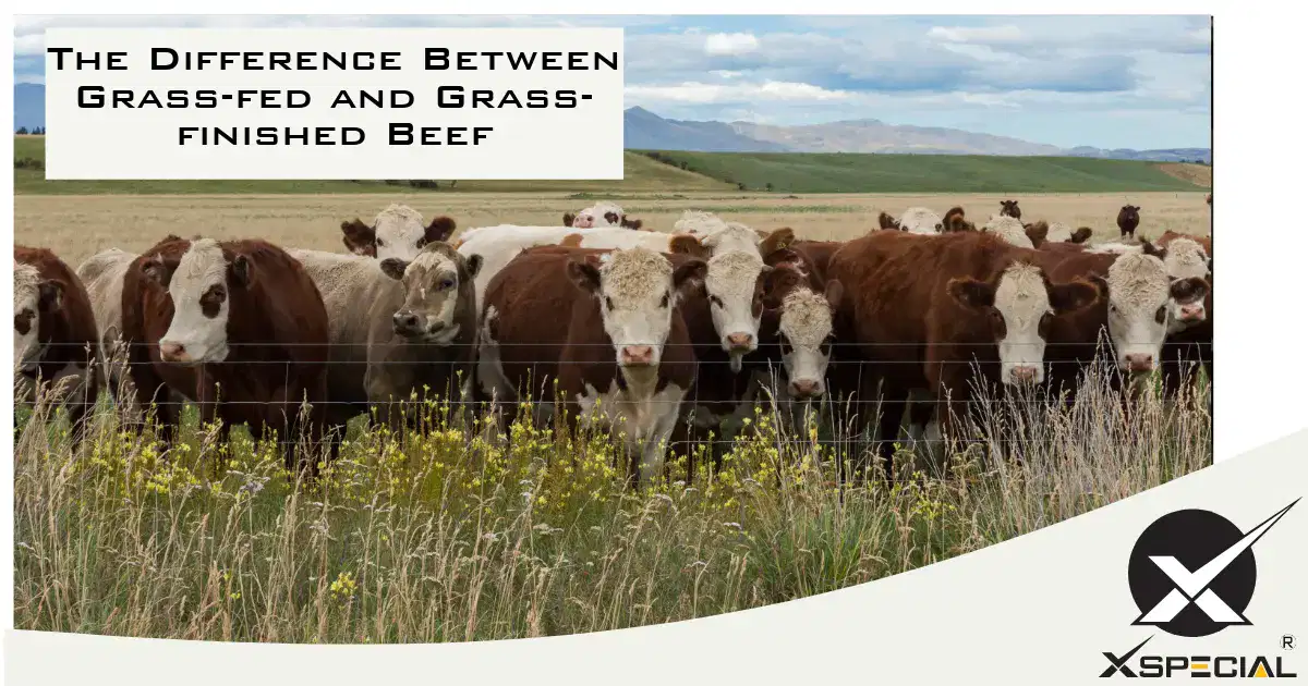Understanding the distinction between grass-fed and grass-finished beef.