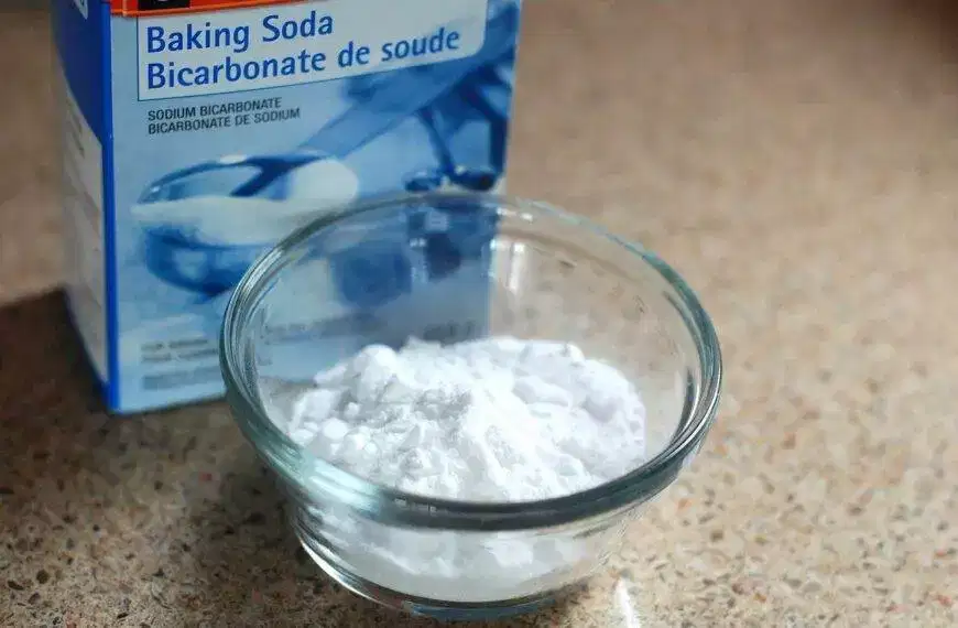 A bowl of baking soda next to a box of baking soda.